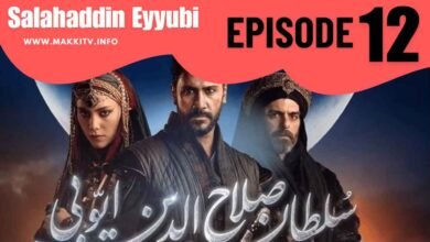 Selahaddin Eyyubi Season 1 Episode 12 In Urdu Subtitles